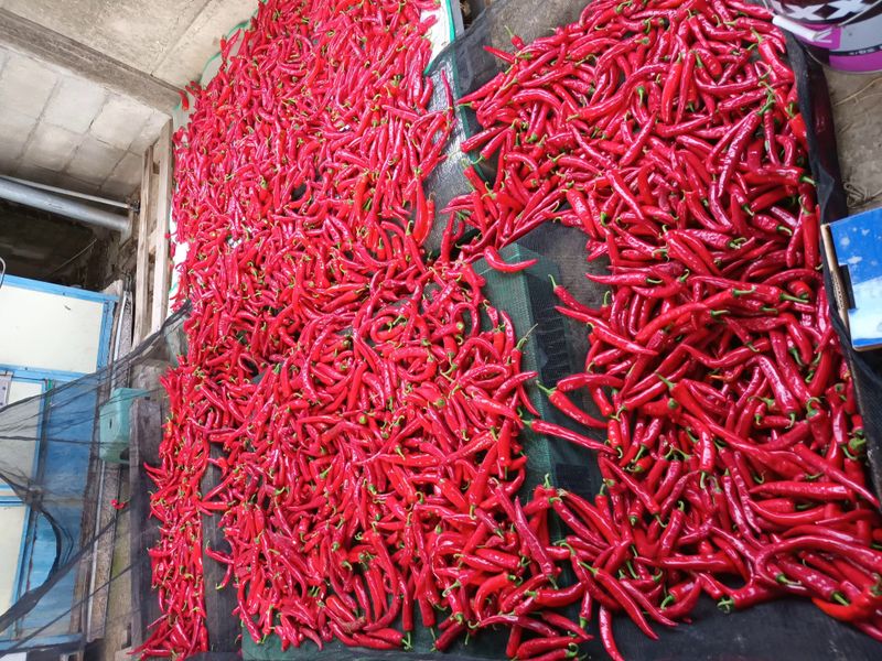 장터 상품 [건고추or고추가루] 썸네일