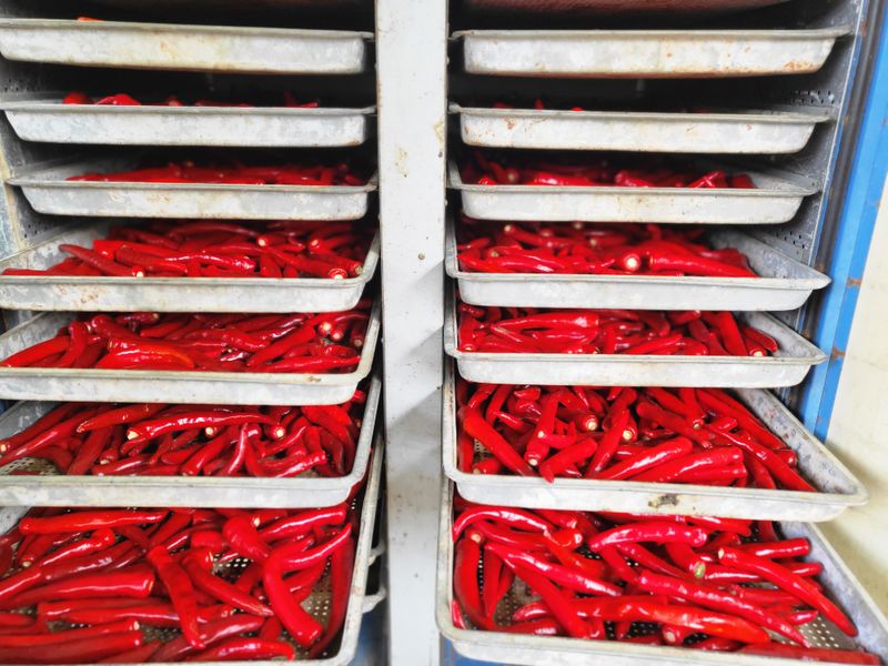 이명화님의 장터 판매 상품 [건고추or고추가루] 첨부 사진