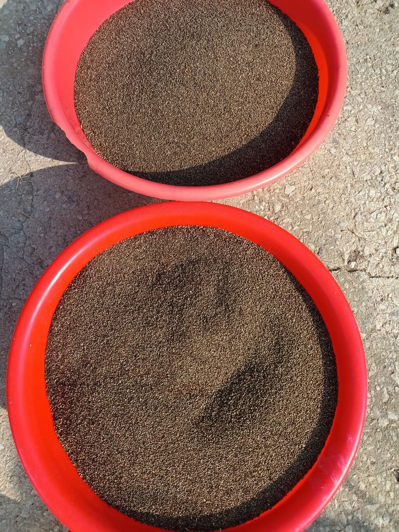 이명화님의 장터 판매 상품 [저희 재배중인 작물] 첨부 사진