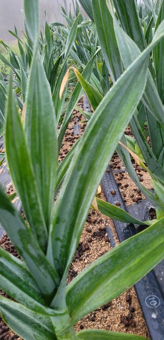 심기섭님의 자유주제 · 자유게시판 작성글 사진