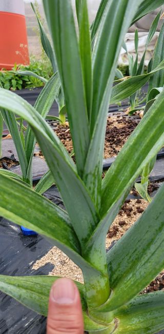 심기섭님의 자유주제 · 자유게시판 작성글 사진