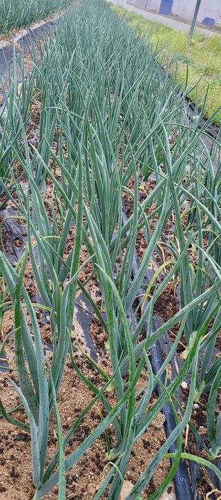 심기섭님의 자유주제 · 자유게시판 작성글 사진