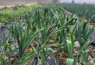 심기섭님의 자유주제 · 자유게시판 작성글 사진