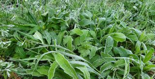 심기섭님의 자유주제 · 자유게시판 작성글 사진