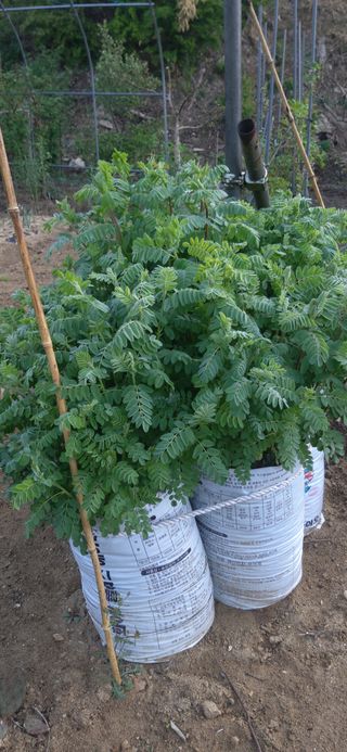 김해숙님의 자유주제 · 자유게시판 작성글 사진