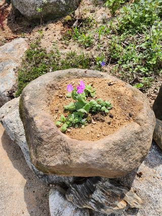 두학황토집님의 우리동네 · 동네자랑 작성글 사진