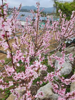 두학황토집님의 우리동네 · 동네자랑 작성글 사진