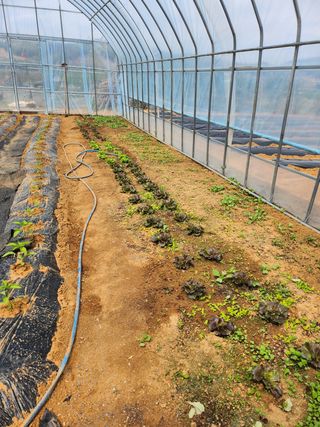 두학황토집님의 우리동네 · 동네자랑 작성글 사진