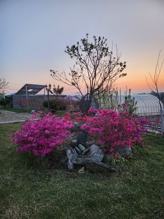 두학황토집님의 우리동네 · 동네자랑 작성글 사진