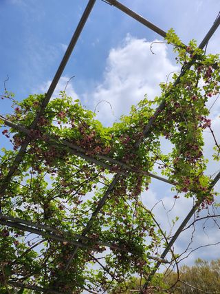 두학황토집님의 우리동네 · 동네자랑 작성글 사진