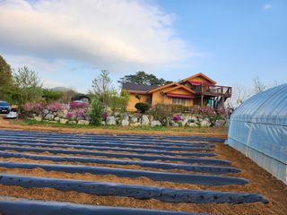 두학황토집님의 우리동네 · 동네자랑 작성글 사진