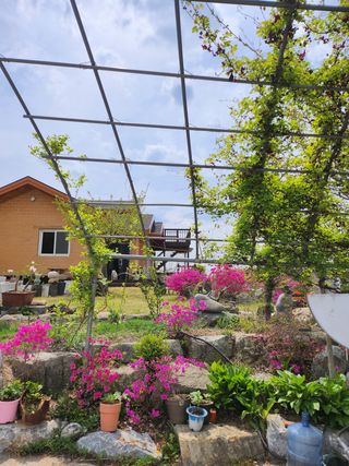 두학황토집님의 우리동네 · 동네자랑 작성글 사진