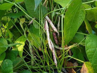 진주 김증수님의 작성글 사진