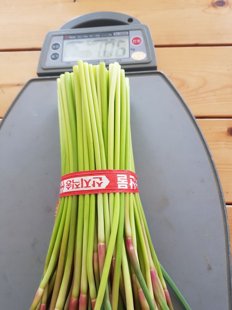 장터 상품 [마늘쫑1키로  택배비4000원있어요] 썸네일