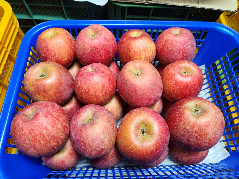 김미선님의 장터 판매 상품 [사과즙 100포] 첨부 사진