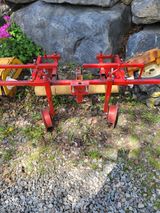 팜모닝 · 게시글 이미지