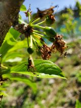팜모닝 장터이야기·자유게시판 게시글 이미지