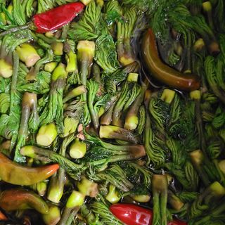 knlee님의 기타작물 · 자유게시판 작성글 사진