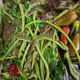 knlee님의 기타작물 · 자유게시판 작성글 사진