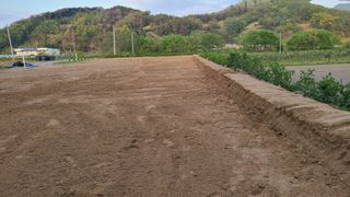 전영순님의 하우스정보 · 자유게시판 작성글 사진