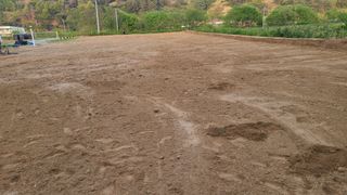 전영순님의 하우스정보 · 자유게시판 작성글 사진