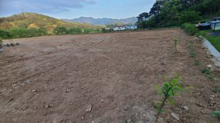 전영순님의 하우스정보 · 자유게시판 작성글 사진