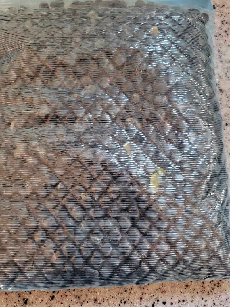 장터 상품 [서리태 4k ] 썸네일