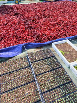 서미경님의 작성글 사진