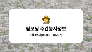 팜모닝 농사도우미님의 기타작물 · 농사길잡이 작성글 사진