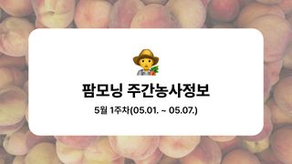 복숭아 농사도우미님의 복숭아·농사길잡이 작성글 사진