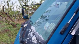 이장22님의 복숭아 · 자유게시판 작성글 사진