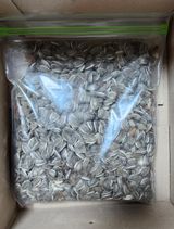 팜모닝 장터이야기·자유게시판 게시글 이미지