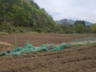 오형섭 님의 자유주제 · 자유게시판 작성글 사진