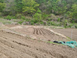 오형섭 님의 자유주제 · 자유게시판 작성글 사진