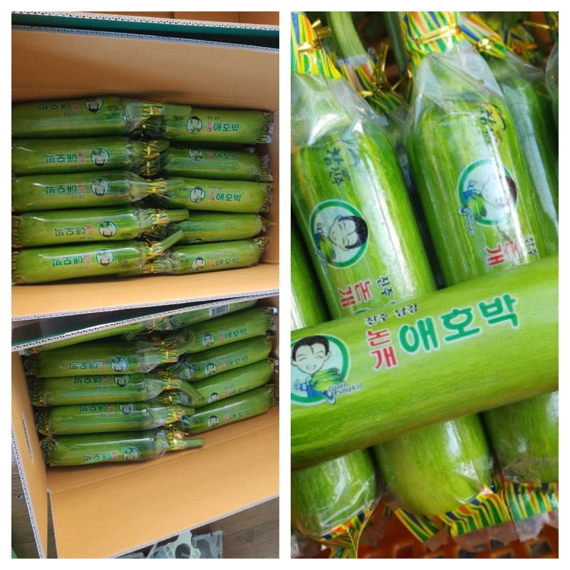 김기태님의 장터 판매 상품 [친환경 무농약 애호박 A품 B품 판매] 첨부 사진