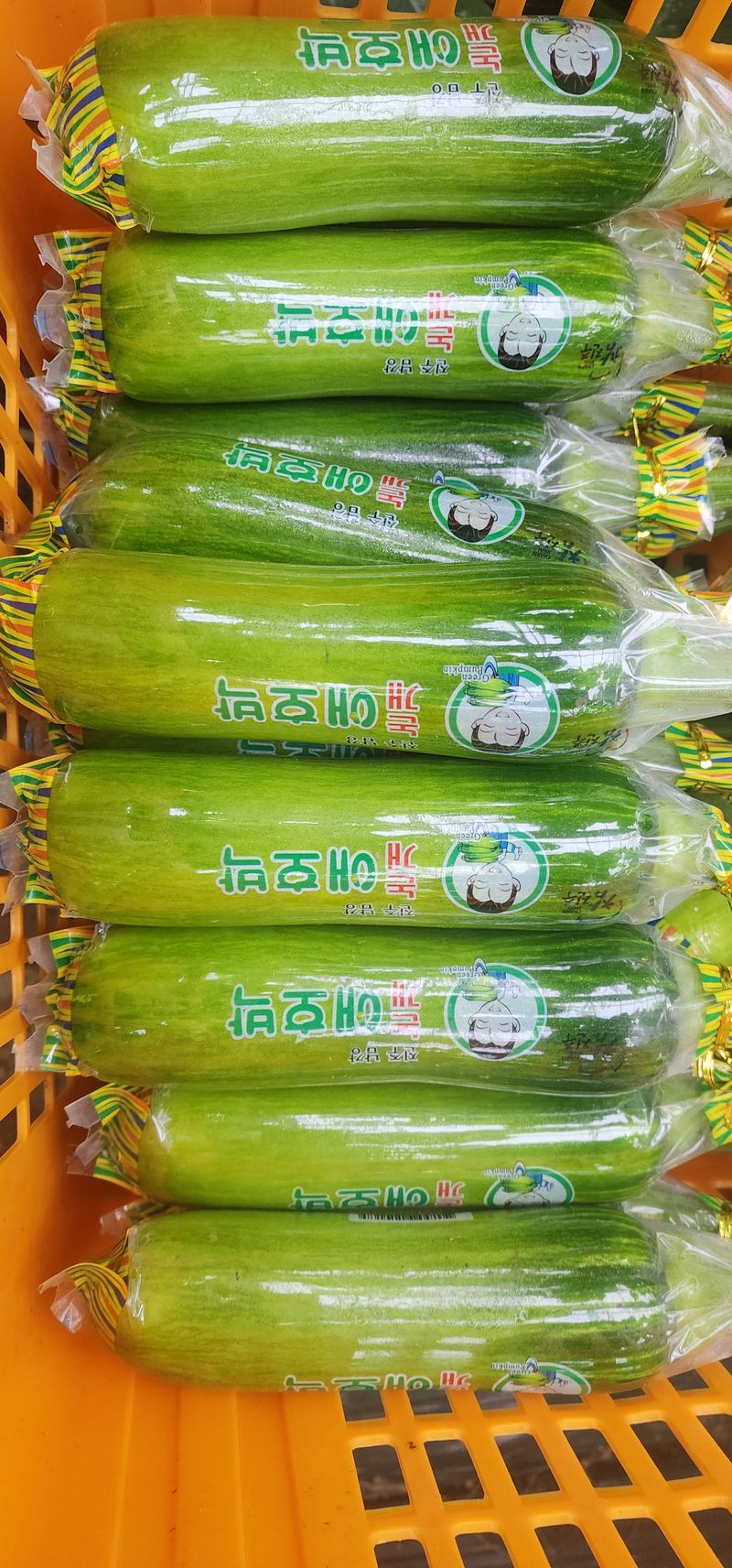 김기태님의 장터 판매 상품 [친환경 무농약 애호박 A품 B품 판매] 첨부 사진