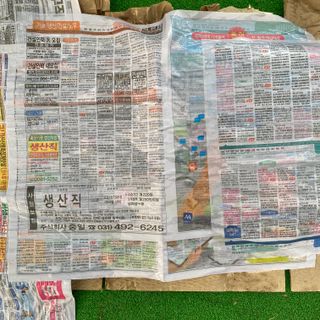 양촌리김회장님의 기타작물 · 병해충상담 작성글 사진