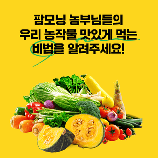 팜모닝님의 장터이야기 · 공지 작성글 사진