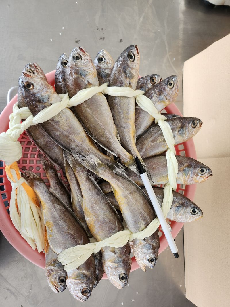 장터 상품 [영광굴비   20미 1.500내외~] 썸네일