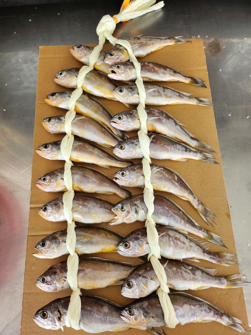 매일굴비센타 님의 장터 판매 상품 [영광굴비   20미 1.500내외~] 첨부 사진