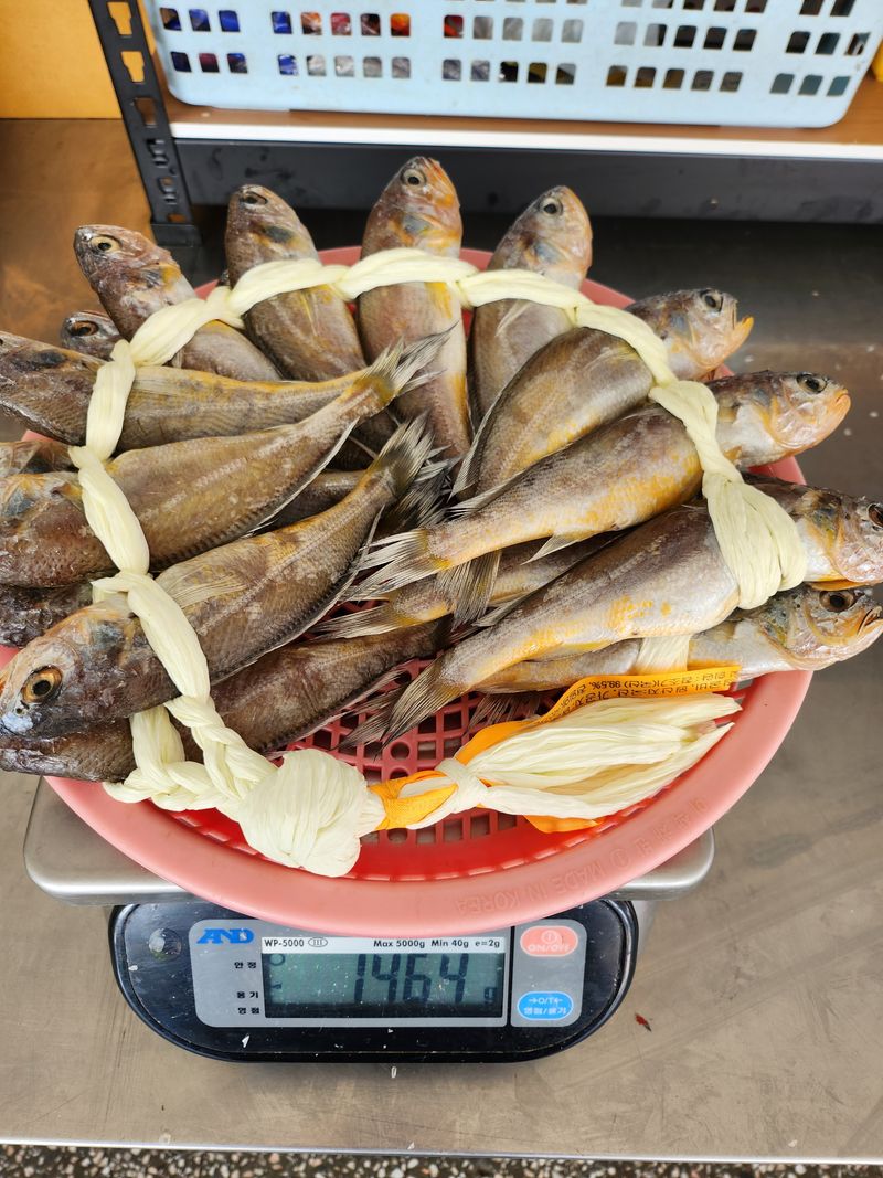 매일굴비센타 님의 장터 판매 상품 [영광굴비   20미 1.500내외~] 첨부 사진