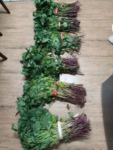 팜모닝 고구마·자유게시판 게시글 이미지