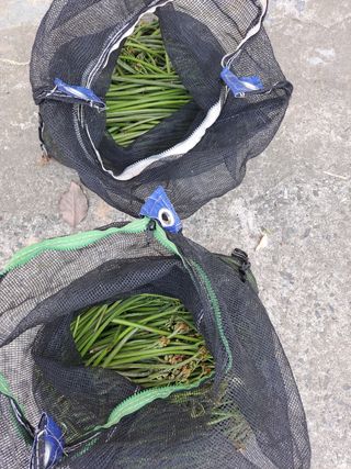 진교님의 기타작물 · 자유게시판 작성글 사진