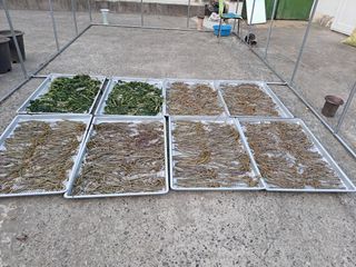 진교님의 기타작물 · 자유게시판 작성글 사진