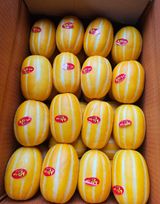 팜모닝 · 게시글 이미지