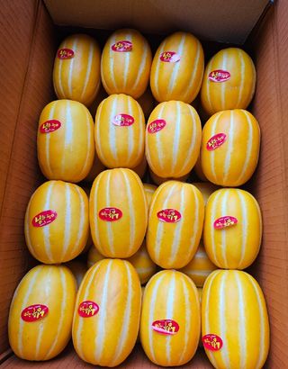 써니네님의 작성글 사진