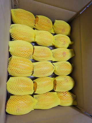 써니네님의 작성글 사진