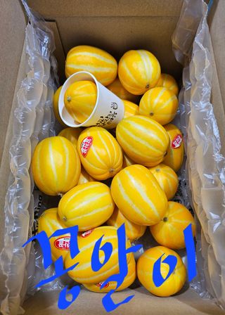 써니네님의 작성글 사진