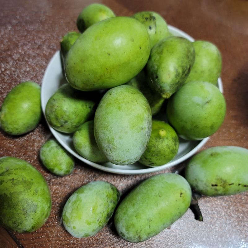 김안식~납작복숭아님의 장터 판매 상품 [포포열매 ] 첨부 사진