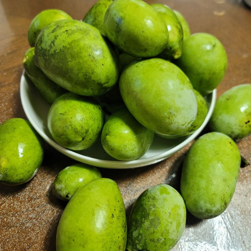 김안식~납작복숭아님의 장터 판매 상품 [포포열매 ] 첨부 사진